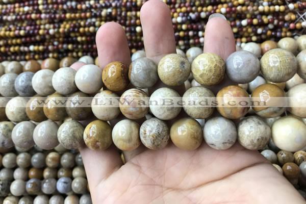 CFC325 15.5 inches 14mm round fossil coral beads wholesale