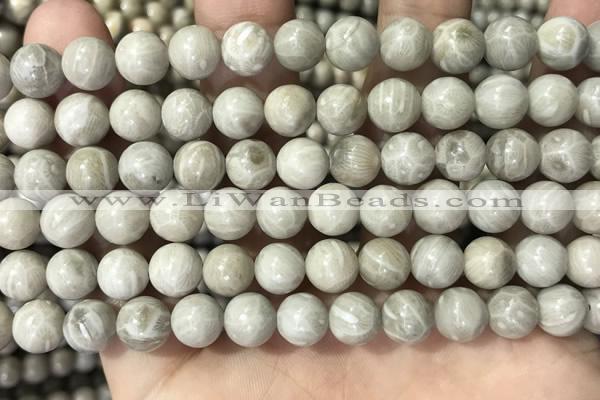 CFC331 15.5 inches 8mm round fossil coral beads wholesale