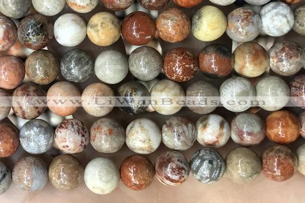 CFC344 15.5 inches 12mm round red fossil coral beads wholesale