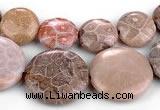 CFC53 15.5 inches flat round coral fossil jasper beads wholesale