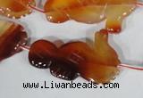 CFG519 15.5 inches 22*35mm carved animal red agate beads