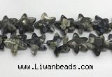 CFG985 15.5 inches 33*33mm carved star grey opal gemstone beads