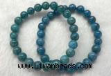 CGB2621 7.5 inches 8mm round natural apatite beaded bracelets