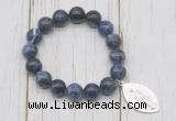 CGB6819 10mm, 12mm sodalite beaded bracelet with alloy pendant