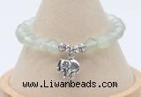 CGB7902 8mm prehnite bead with luckly charm bracelets wholesale