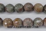 CGG15 15.5 inches 12mm faceted round ghost gemstone beads wholesale