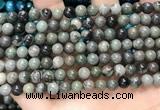 CGJ511 15.5 inches 6mm round green forst jasper beads wholesale