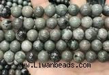 CGJ514 15.5 inches 12mm round green forst jasper beads wholesale