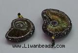 CGP1561 20*28mm - 25*35mm ammonite pendants wholesale