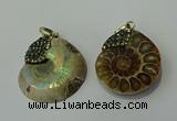 CGP271 25*30mm - 30*35mm ammonite pendants wholesale