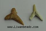 CGP541 15*25mm - 22*30mm shark teeth pendants wholesale