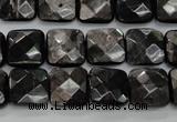 CHS26 15.5 inches 12*12mm faceted square natural hypersthene beads