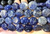 CIBS29 15 inches 20mm coin sodalite gemstone beads wholesale