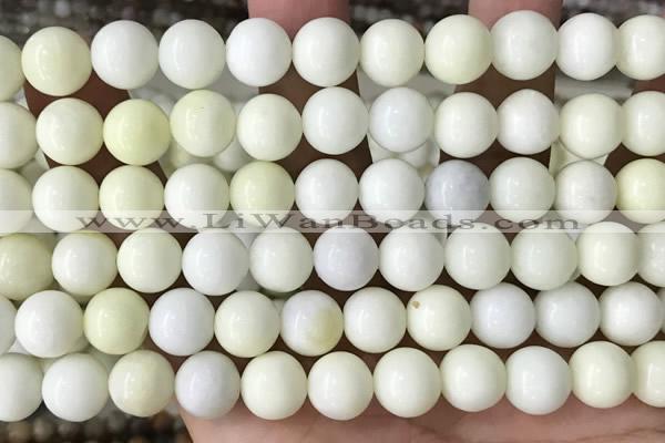 CIJ203 15.5 inches 10mm round ivory jade beads wholesale