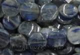 CKC02 16 inches 25mm flat round natural kyanite beads wholesale