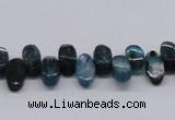 CKC30 16 inches 6*12mm marquise natural kyanite beads wholesale