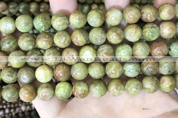 CKC763 15.5 inches 10mm round natural green kyanite beads