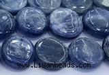 CKC816 15 inches 11mm - 12mm flat round blue kyanite beads