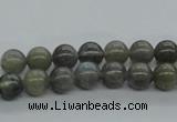 CLB100 15.5 inches 8mm round labradorite gemstone beads wholesale