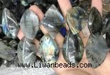 CLB1003 15.5 inches 18*35mm - 25*45mm freeform labradorite beads