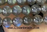 CLB1015 15.5 inches 5mm round labradorite gemstone beads