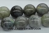 CLB103 15.5 inches 16mm round labradorite gemstone beads wholesale