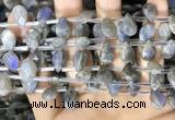 CLB1044 Top drilled 8*12mm faceted briolette labradorite beads