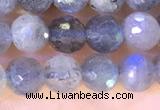 CLB1071 15.5 inches 5mm faceted round labradorite beads