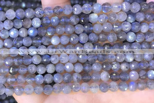 CLB1071 15.5 inches 5mm faceted round labradorite beads