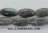 CLB109 15.5 inches 10*20mm marquise labradorite gemstone beads wholesale