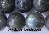 CLB1093 15.5 inches 10mm round labradorite gemstone beads