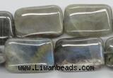 CLB124 15.5 inches 18*25mm rectangle labradorite gemstone beads wholesale