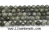 CLB1251 15 inches 10mm faceted round labradorite beads wholesale