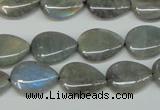 CLB158 15.5 inches 12*16mm flat teardrop labradorite gemstone beads