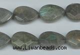 CLB185 15.5 inches 13*18mm faceted flat teardrop labradorite beads