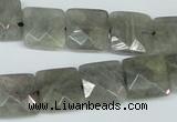 CLB201 15.5 inches 14*14mm faceted square labradorite beads