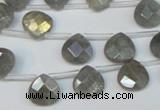 CLB204 Top-drilled 10*10mm briolette labradorite gemstone beads