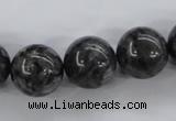 CLB356 15.5 inches 16mm round black labradorite beads wholesale