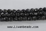 CLB359 15.5 inches 4mm faceted round black labradorite beads wholesale