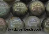 CLB608 15.5 inches 20mm round AB-color labradorite beads