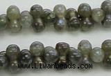 CLB630 15.5 inches 4*9mm bone AB-color labradorite beads