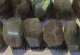 CLB701 15.5 inches 12*22mm - 14*24mm faceted nuggets labradorite beads