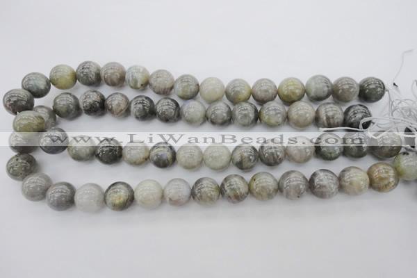 CLB711 15.5 inches 18mm round labradorite gemstone beads