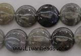 CLB737 15.5 inches 18mm flat round labradorite gemstone beads