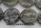 CLB738 15.5 inches 20mm flat round labradorite gemstone beads