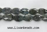 CLB799 25*30mm - 25*35mm faceted octagonal labradorite beads