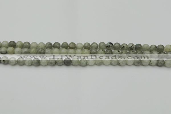 CLB850 15.5 inches 4mm round AB grade labradorite beads wholesale