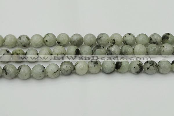 CLB855 15.5 inches 14mm round AB grade labradorite beads wholesale