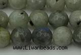 CLB863 15.5 inches 10mm faceted round AB grade labradorite beads