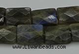 CLB962 15.5 inches 13*18mm faceted rectangle labradorite beads